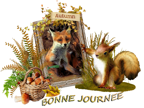Dimanche 28 octobre 33ad6779