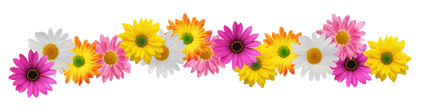 RÃ©sultat de recherche d'images pour "gif animÃ© ligne sÃ©paratrice fleurs"