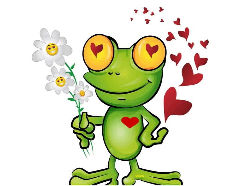 Grenouille Coeurs