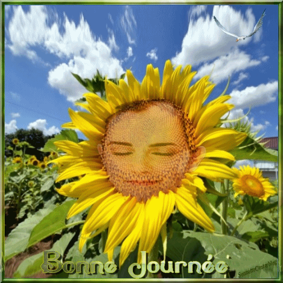Bonjour, bonsoir..... - Page 37 74d60300