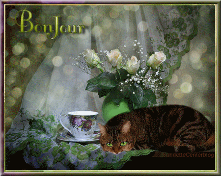 Samedi 27 octobre Bonjourmatin-theSonnetteCenterblog