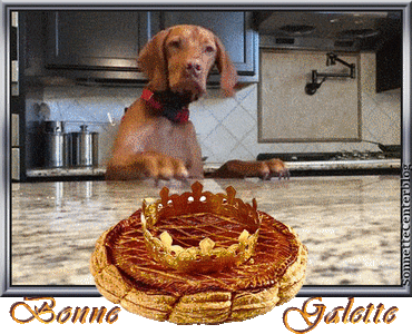 Dimanche 6janv Galette-chienPSonnetteCenterblog