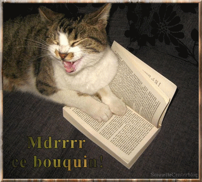 Mdr-chatlivrepetitSonnetteCenterblog.gif
