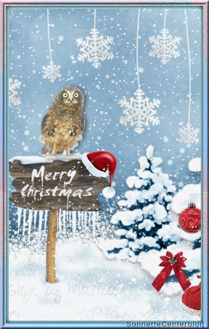 Lundi 17 décembre 2018 .... J-7 !! Noel-CarteP1SonnetteCenterblog