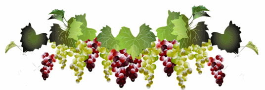 clipart gratuit vigne raisin - photo #29