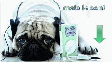 barre-son-chien1.gif