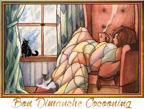 BONNE ANNEE 2017 - Page 3 Bon-dimanche-cocooningpetitSonnetteCenterblog