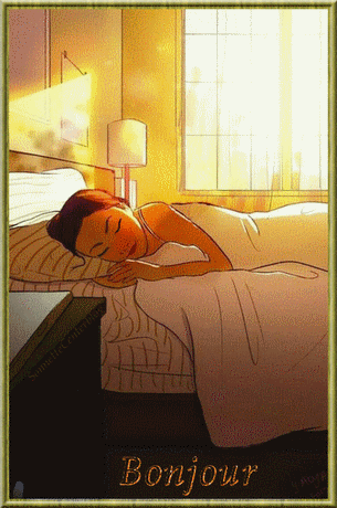 lundi 7 Janv Bonjour-matinchienPSonnetteCenterblog