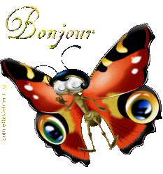 Bonjour tout le monde - Page 31 Bonjour-papillonPSonnetteCenterblog
