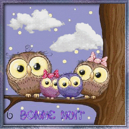 Novembre 2018 - Page 3 Bonnenuit-hibouxPSonnetteCenterblog
