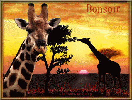 bonsoir-girafepetitSonnetteCenterblog.gif