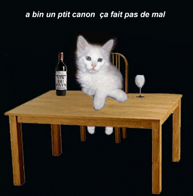 chat_boit_rouge.gif