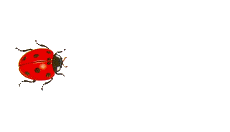 coccinelles-gifs-animes.gif