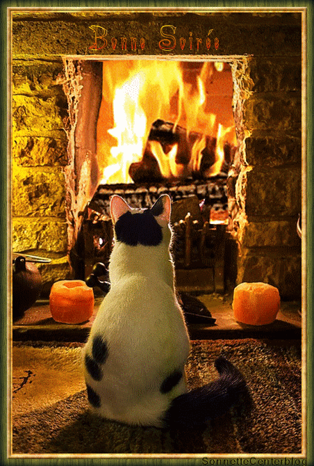 Résultat de recherche d'images pour "gifs animés de chats au coin du feu"