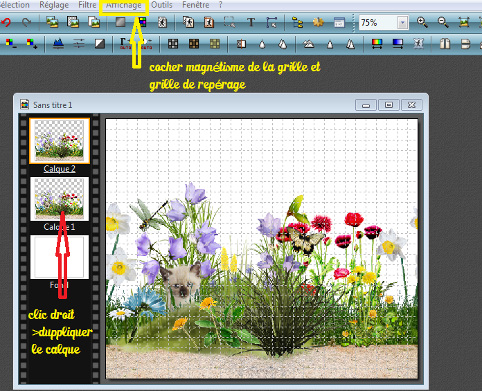 tuto photofiltre gif anime
